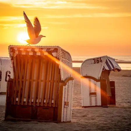 Seestern S シュピーカーオーク