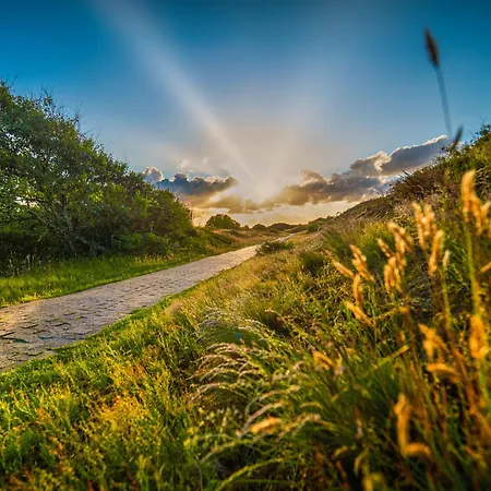 Seestern S アパート シュピーカーオーク