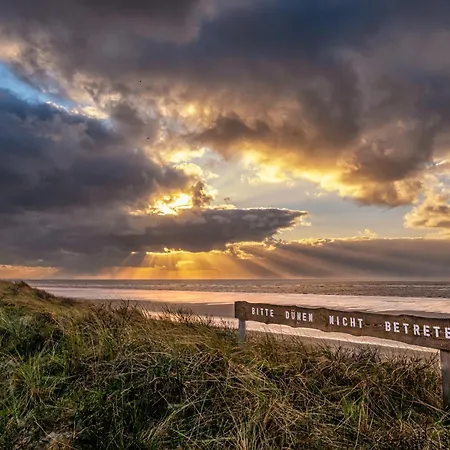 Seestern S シュピーカーオーク