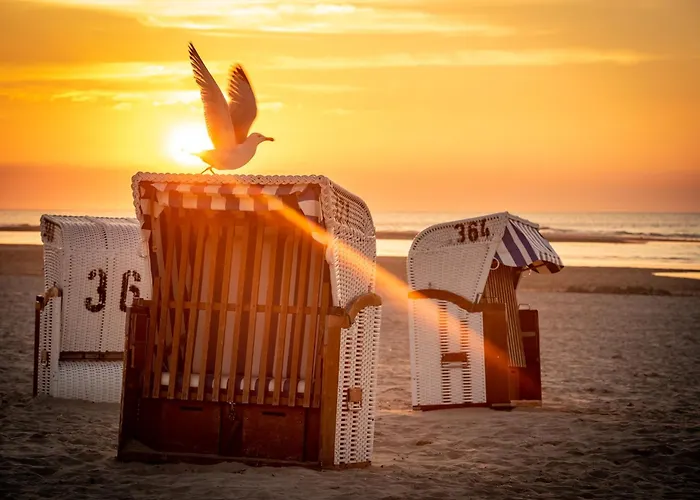 Seestern S Шпикерог