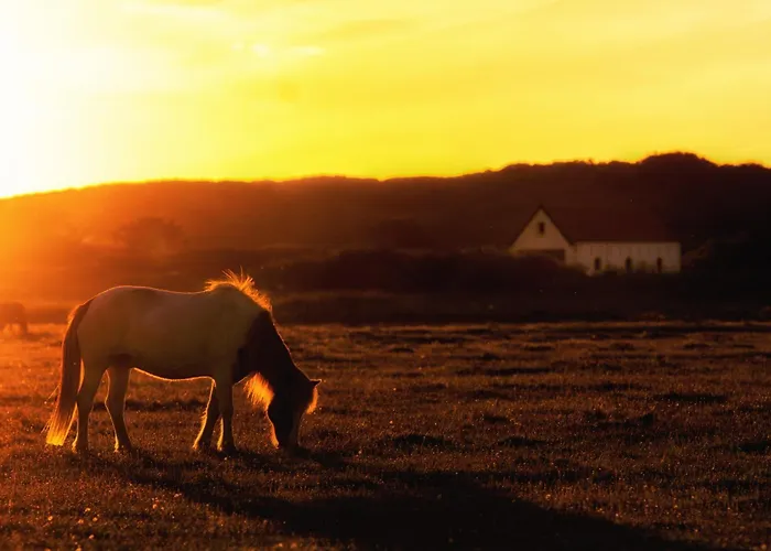 Seestern S Шпикерог