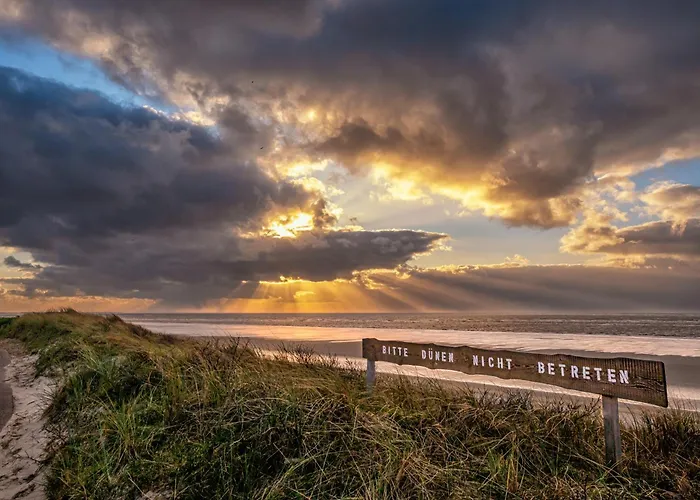 Seestern S Шпикерог